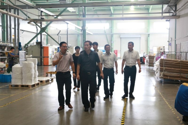 Hong Jun, Secretary of the Party Committee of China Paper, investigated Zhejiang Guanhao